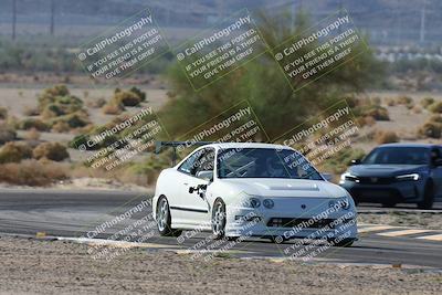 media/Oct-24-2025-Doghouse Garage (Fri) [[783d2ff07a]]/1-Advanced/Session 2 Turn 5 Tree of Life/